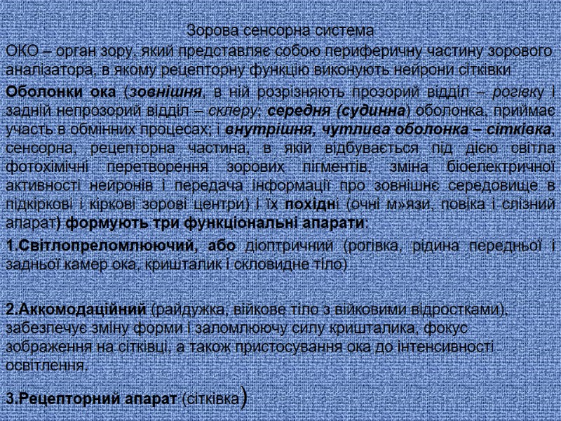 Зорова сенсорна система ОКО – орган зору, який представляє собою периферичну частину зорового аналізатора, Зорова сенсорна система ОКО – орган зору, який представляє собою периферичну частину зорового аналізатора,